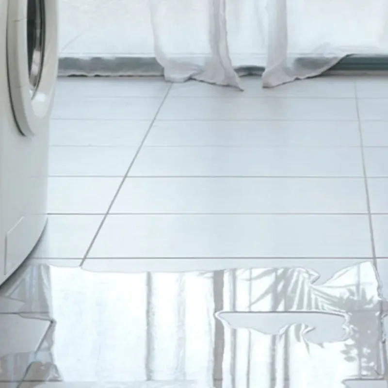 Appliance Leak Cleanup in Riverwoods, IL