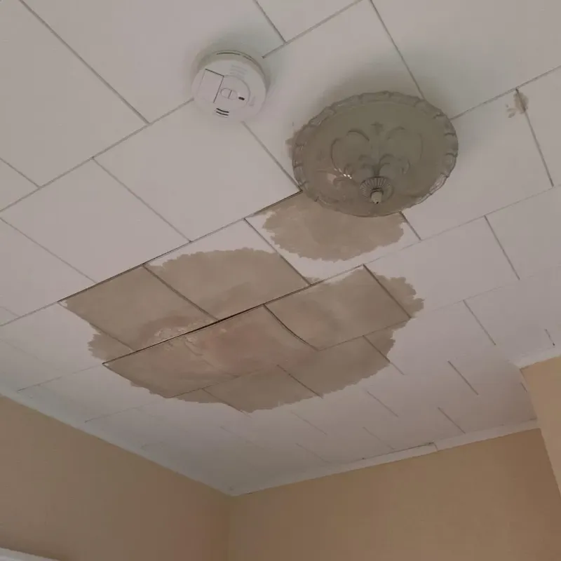 Ceiling Water Damage Repair in Riverwoods, IL